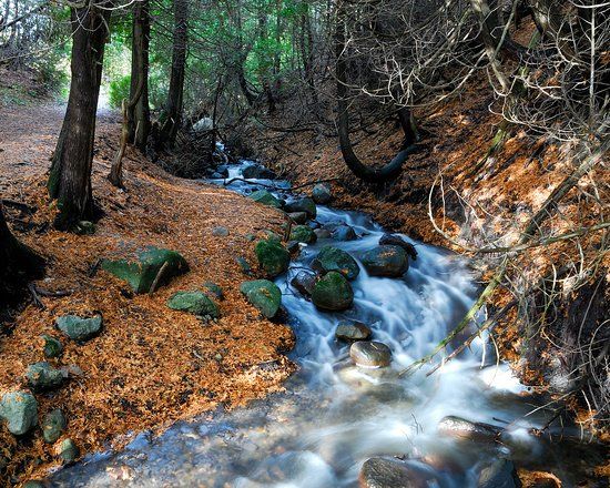 Reserve naturelle du Marais-Leon-Provancher